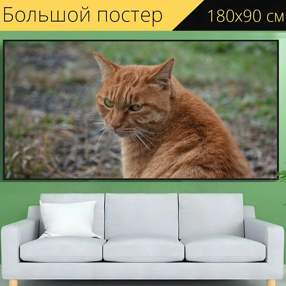 Большой постер "Животное, кошка, глаз" 180 x 90 см. для интерьера