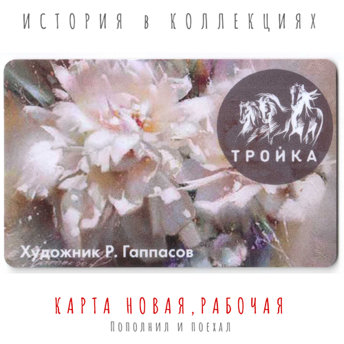 Тройка художник Р. Гаппасов 