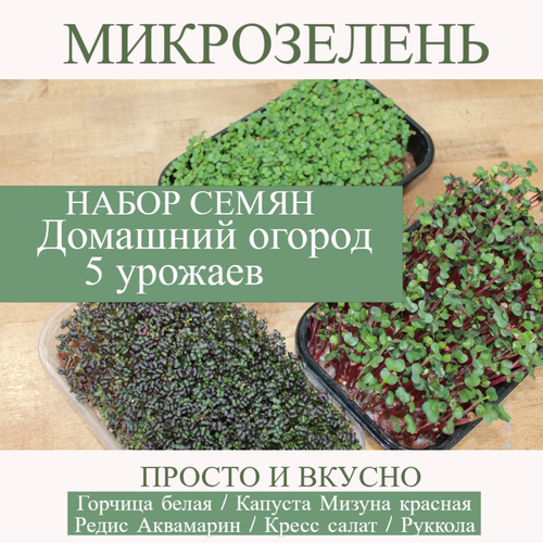 Набор семян 5 Урожаев семена капуста японская мизуна красная 4 упаковки 2 подарка