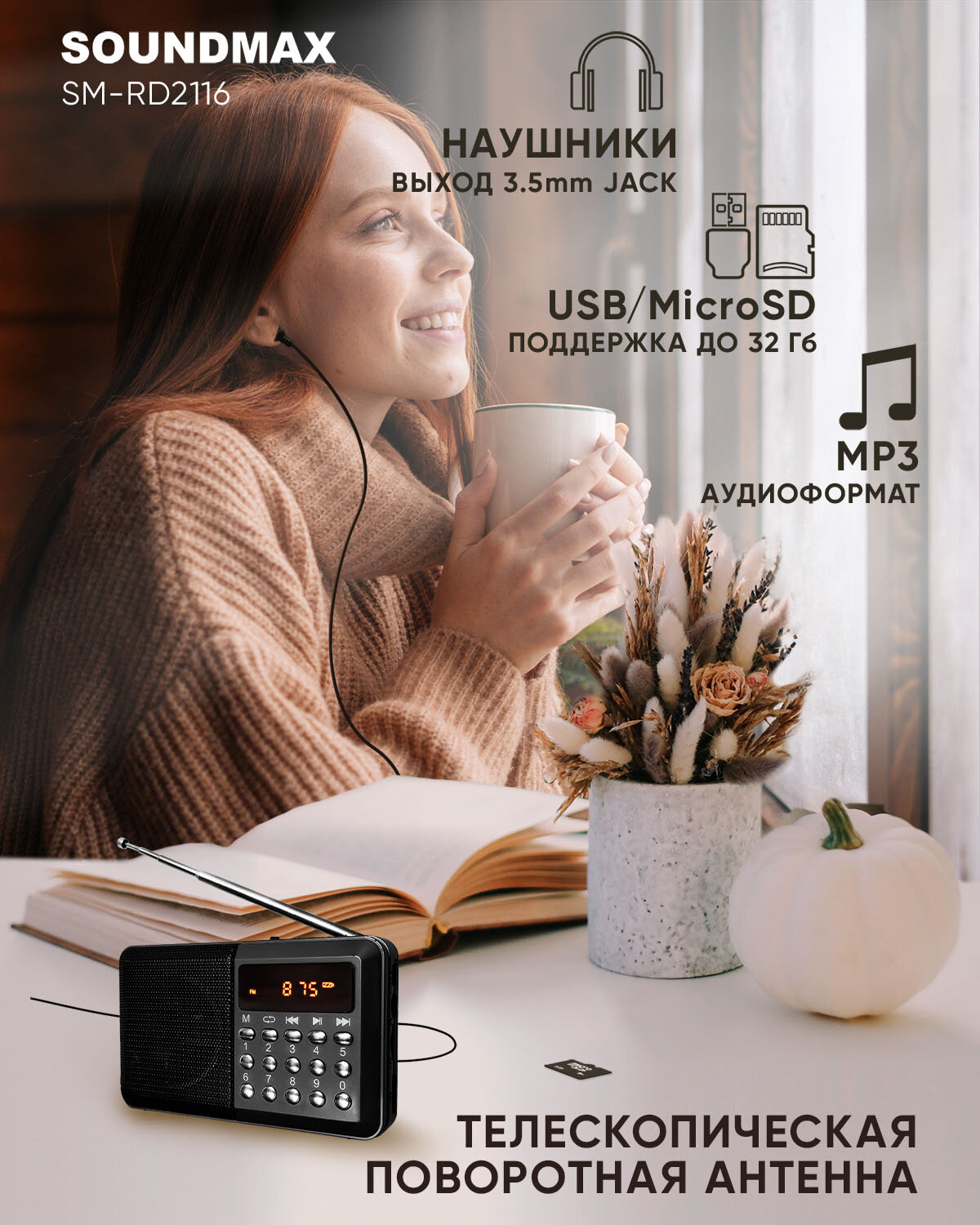 Радио Soundmax SM-RD2127(тёмный титан)