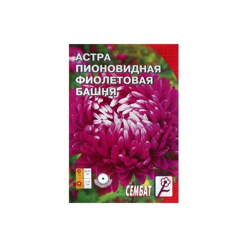 Семена цветов Астра Сембат, пионовидная Фиолетовая Башня семена цветов астра пионовидная кварцевая башня 0 2 г в наборе1шт