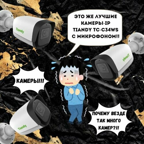 Камера уличная Tiandy TC-C34W Spec I5WEYV42 755000₽
