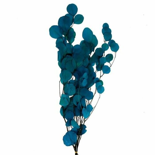 Сухоцвет персикого дерева 50 гр длина 70 см цвет голубой 1433₽