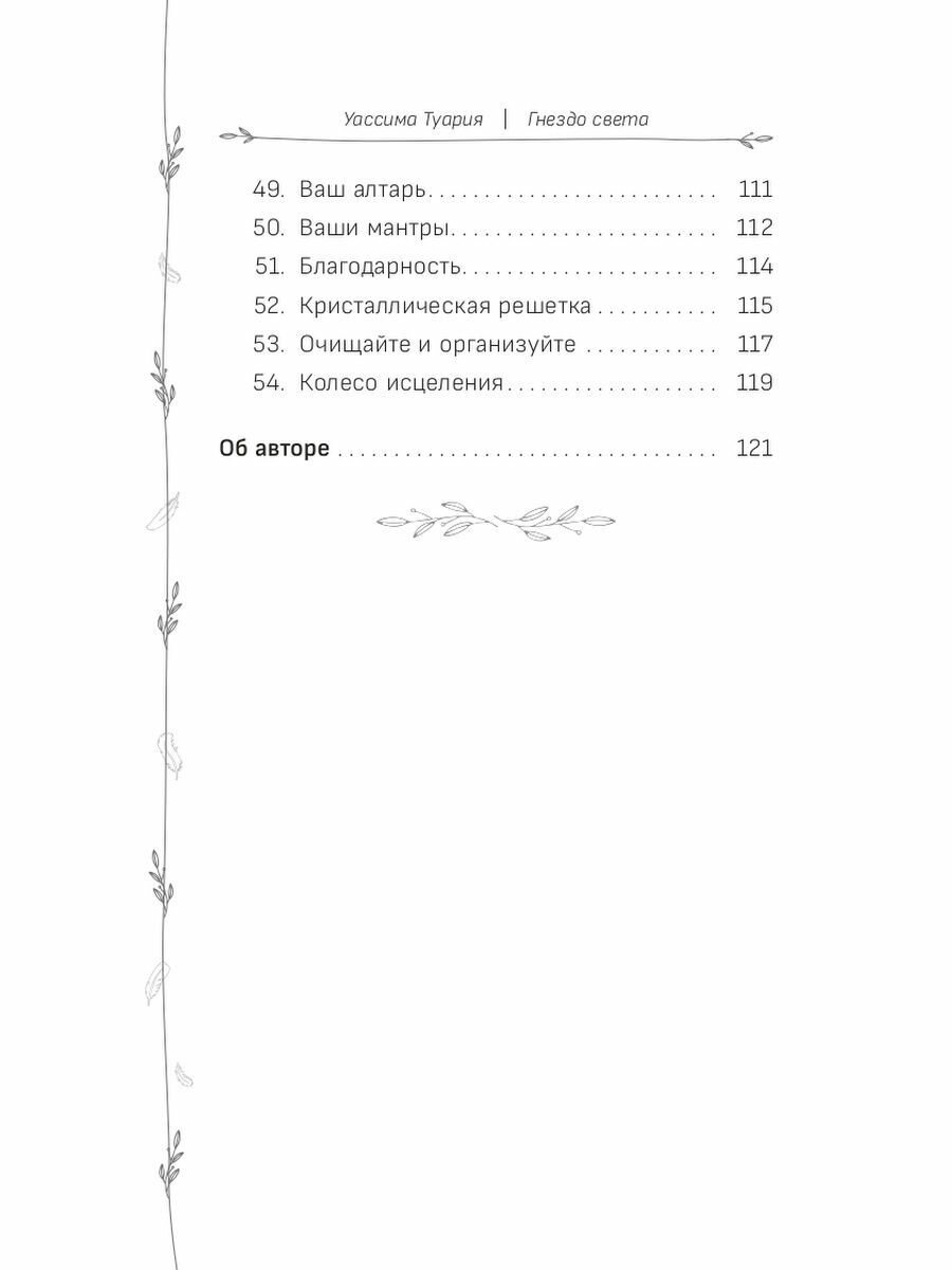Оракул Гнездо света. Повысьте свои вибрации. Брошюра - фото №6