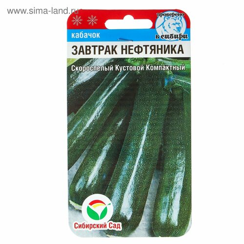 Семена Кабачок Завтрак нефтяника, 5 шт. (3шт.) кабачок завтрак нефтяника цуккини 1 5г зеленый ранн нк 10 пачек семян