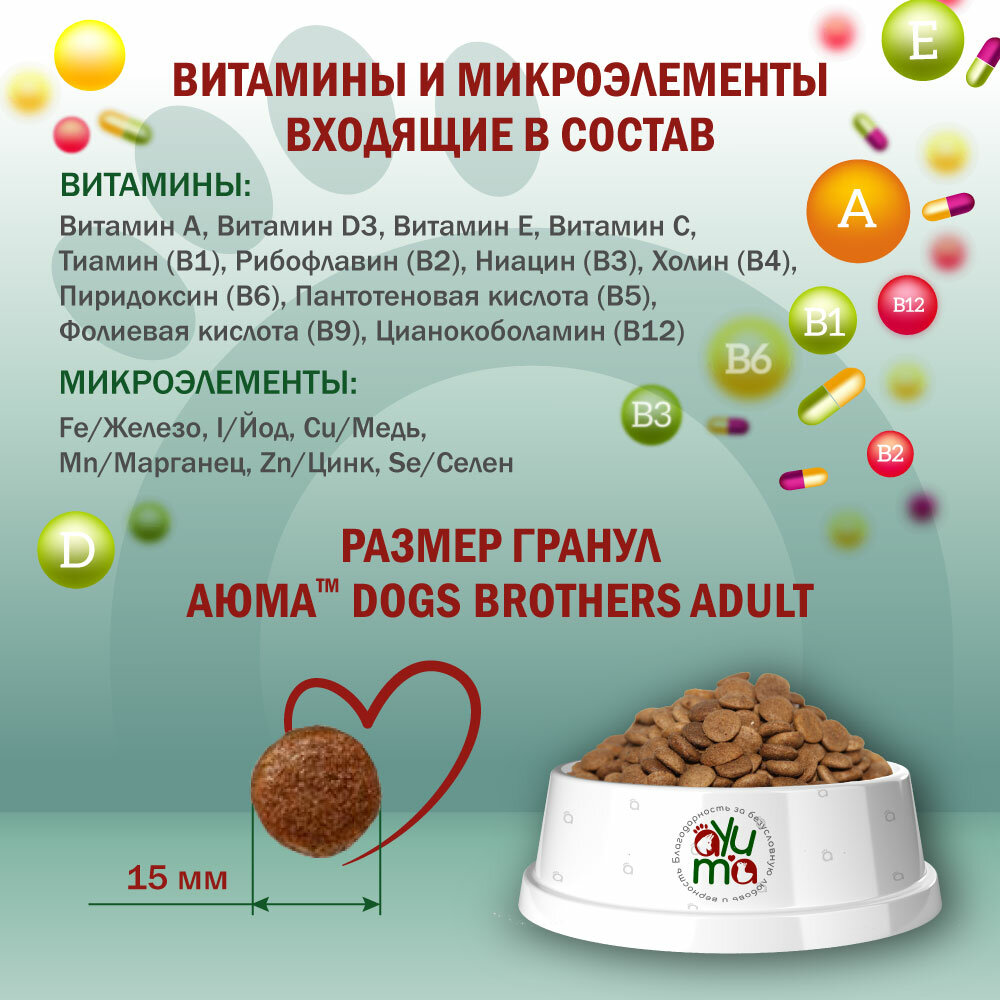 Сухой корм для собак средних и крупных пород AYUMA (АЮМА) Premium, гипоаллергенный, ягненок и индейка, 12 кг — фото 1