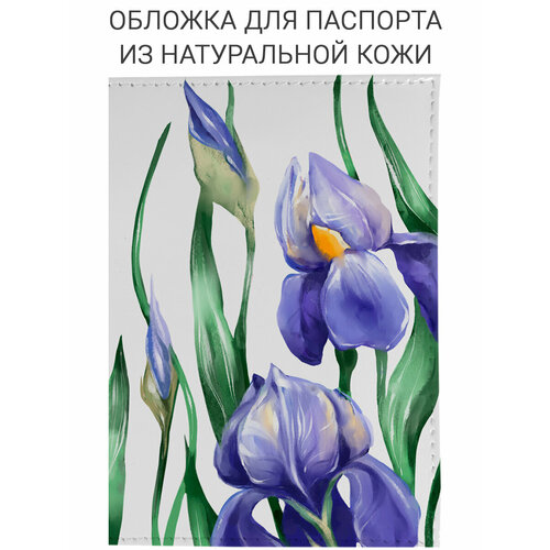 фото Обложка для паспорта slvgo, синий, белый, красный, желтый