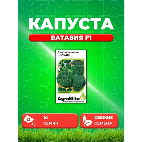 Капуста брокколи Батавия F1, 10шт, AgroElita, Bejo