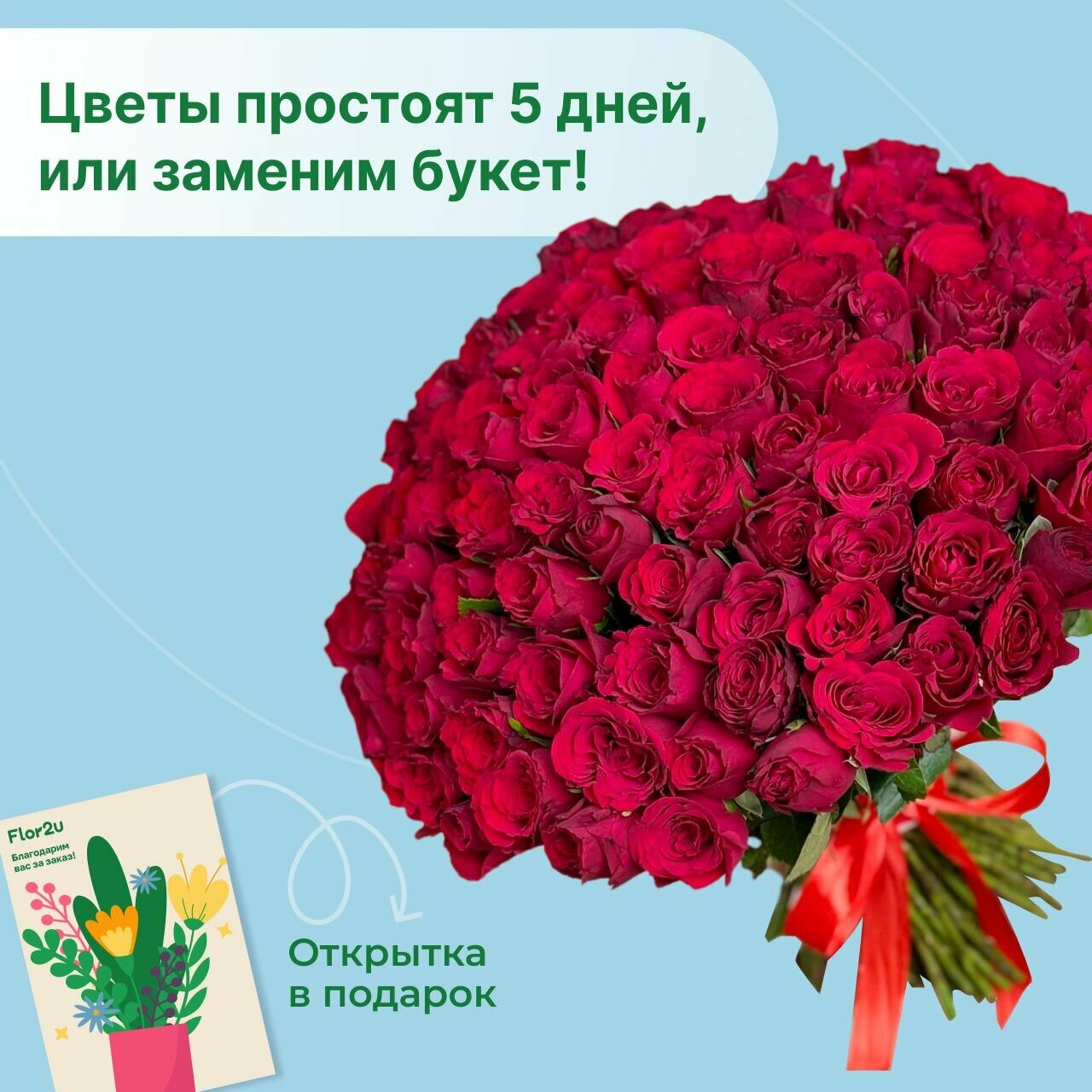 Букет живых цветов из 101 красной розы Кения с лентой