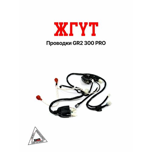 Жгут проводки GR2 300 PRO 3218₽