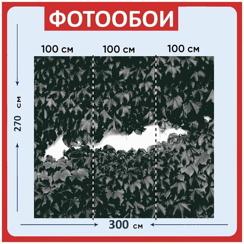 Фотообои Стена растения зеленый 300x270 см флизелиновыена стену 2960₽