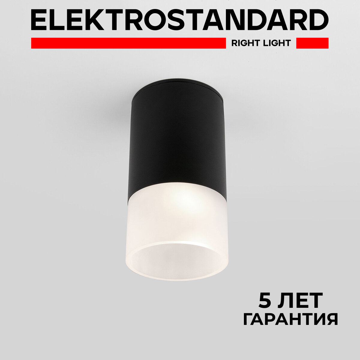 Уличный потолочный светильник Elektrostandard Light LED 2106 35139/H черный IP54
