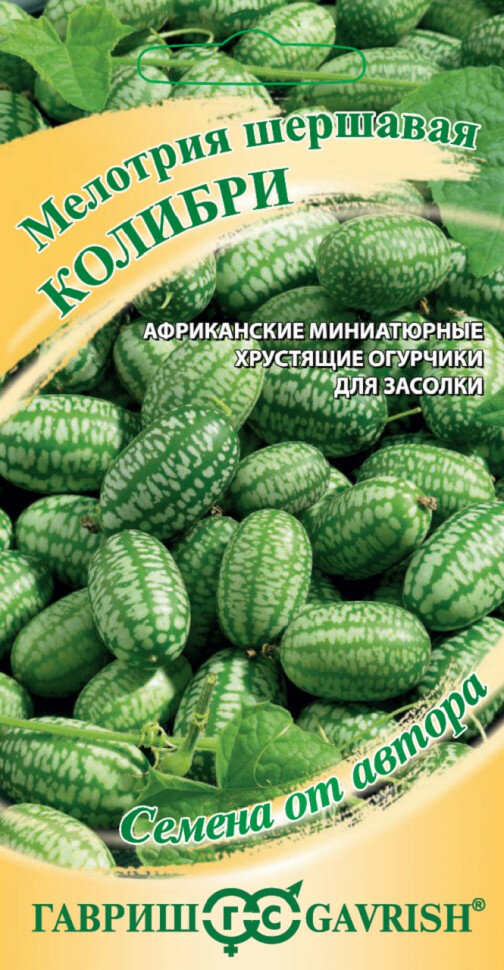 Семена Мелотрия шершавая (мини-арбуз) Колибри 20шт Гавриш Семена от автора 10 пакетиков