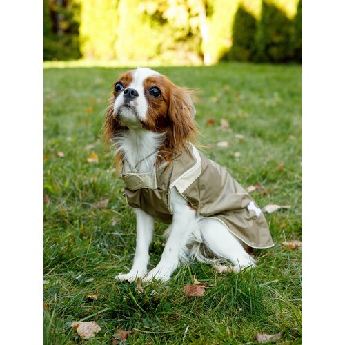 Дождевик спортивная курточка трансформер светоотражающая Japan Premium Pet. Размер L. Цвет бежевый хаки. Унисекс