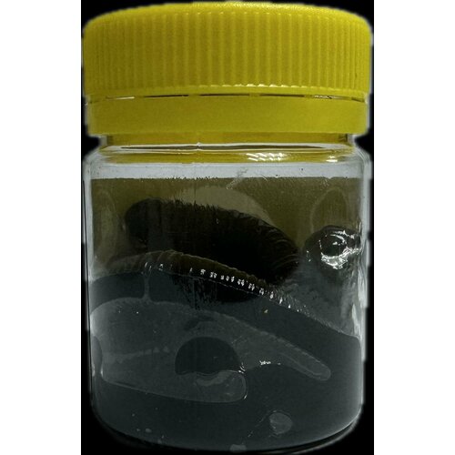 Приманка Cool Place Floating stretch 6,5см, цвет черный, с ароматом сыра