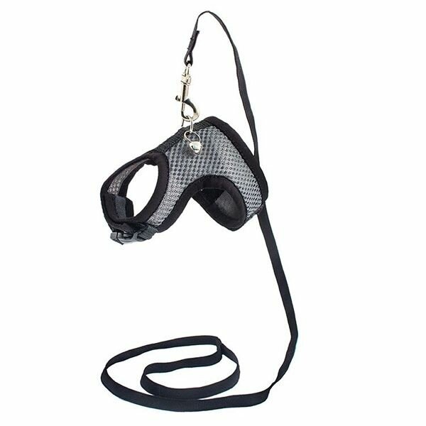 Шлейка с поводком Дарэлл "Аэро" №2 3D-сетка обхват груди 15-20 см для морских свинок и шиншилл