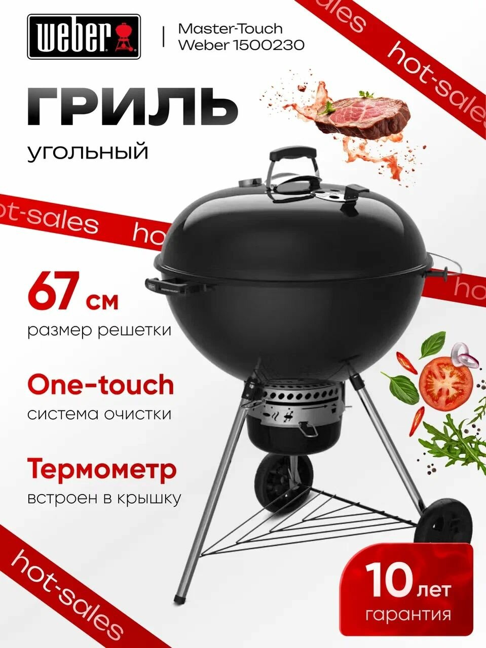 Барбекю-гриль