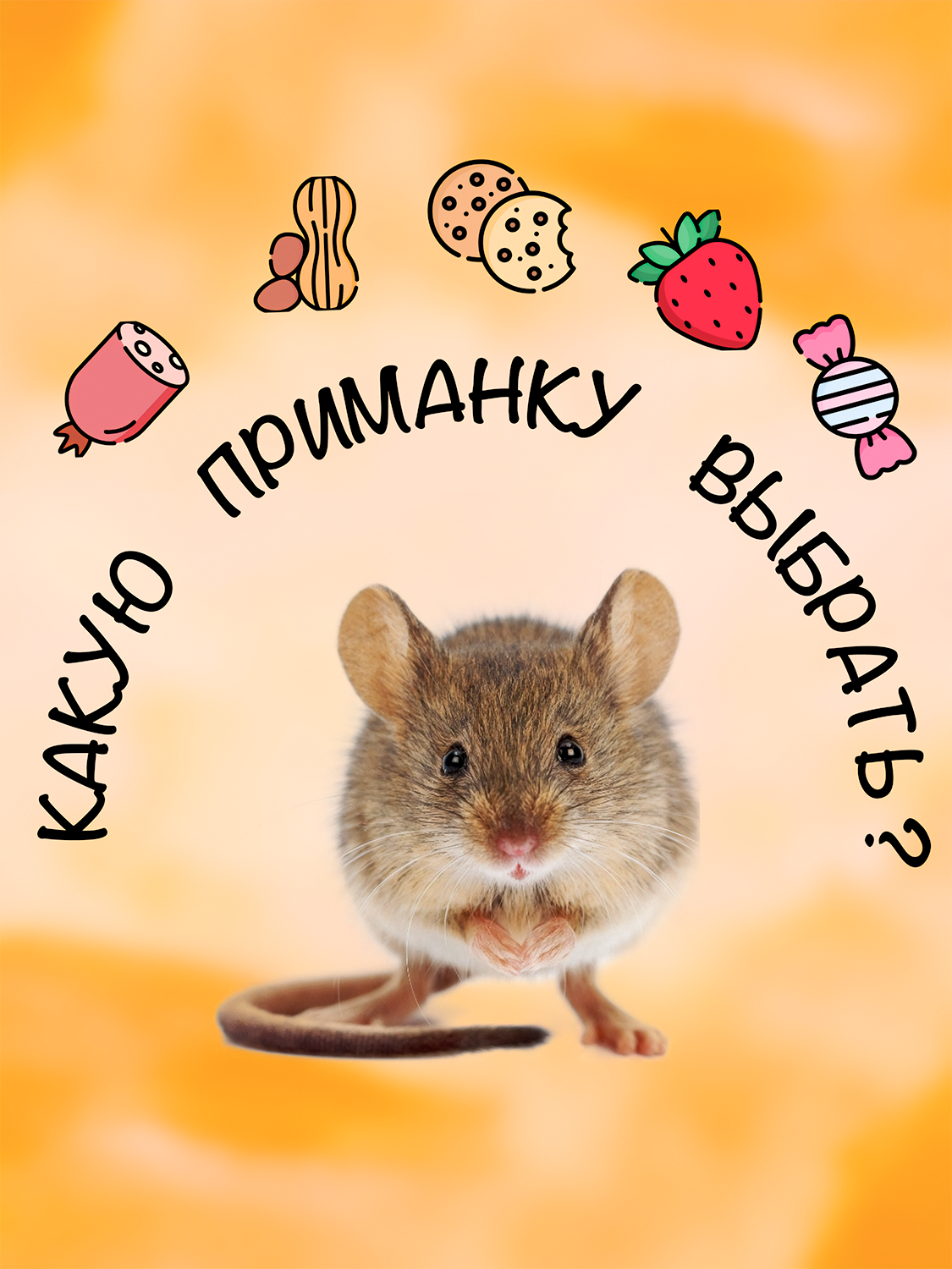 Мышеловка капкан пластиковая, ловушка для мышей, грызунов, П2, Планета Садовод, Черный, 6 штук — фото 1
