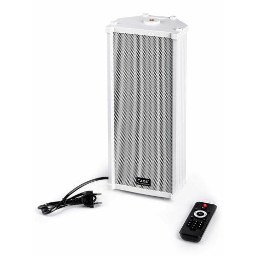 DS-20E-A Акустическая система активная 20 Вт Bluetooth TADS 592000₽