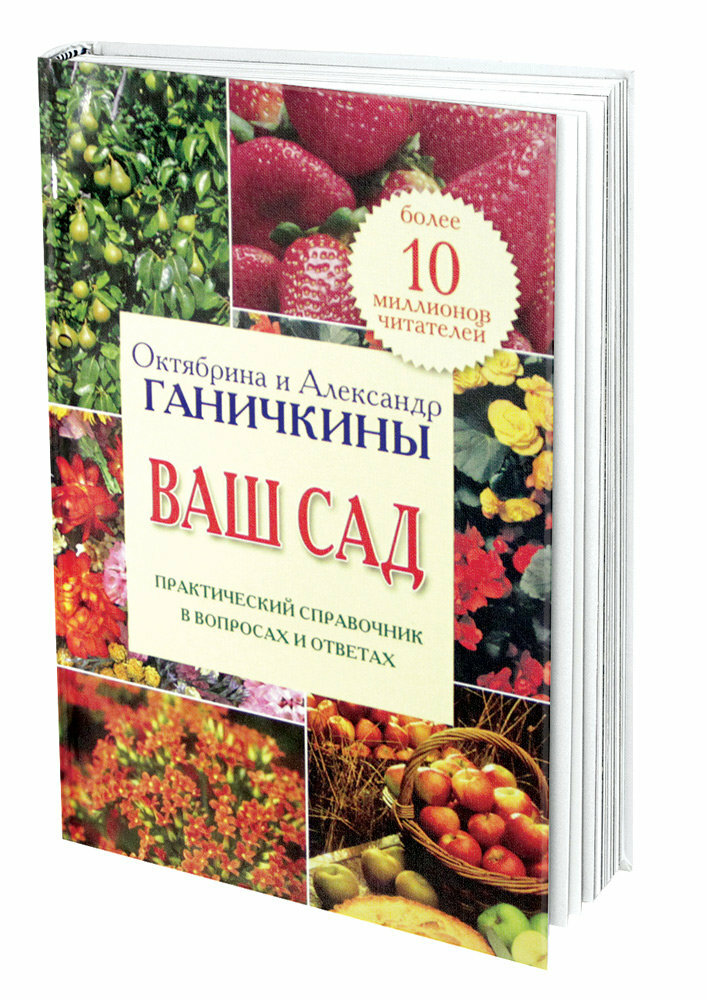 Ваш сад. Практический справочник в вопросах и ответах - фото №2