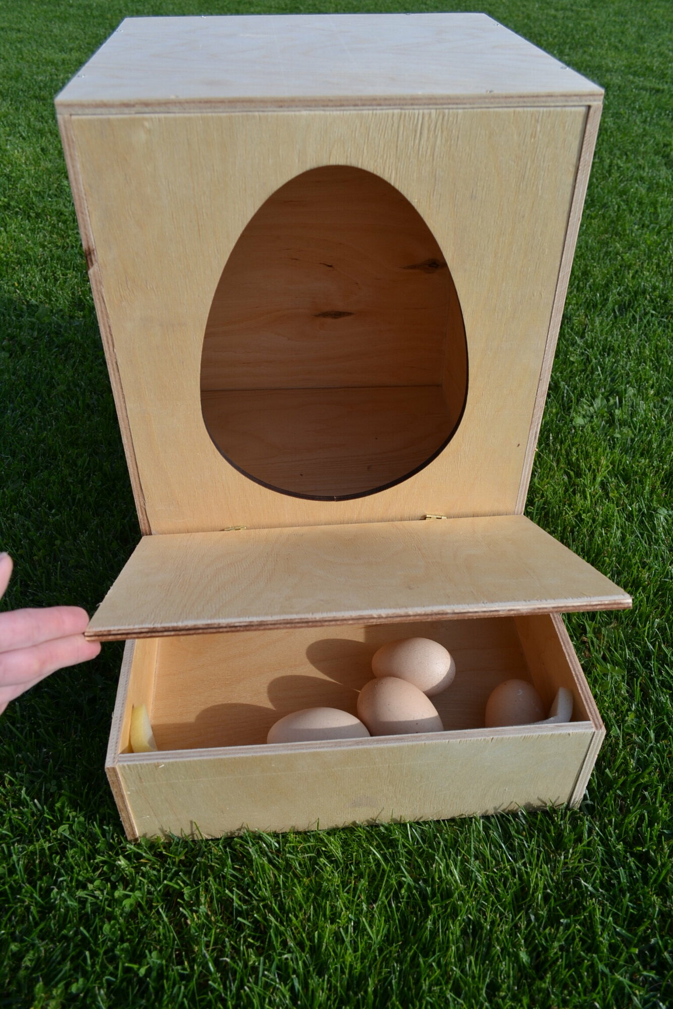 Гнездо для кур-несушек с яйцесборником с наклонной крышей - фотография № 2