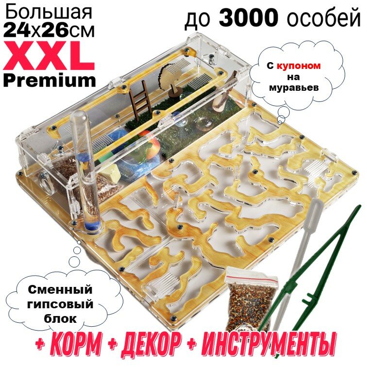 Большая муравьиная ферма XXL Premium 24*26см Полный комплект Древесная