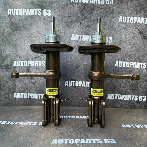 Стойки с занижением -120мм передние астон ВАЗ 2170 Приора (к-т, масло)