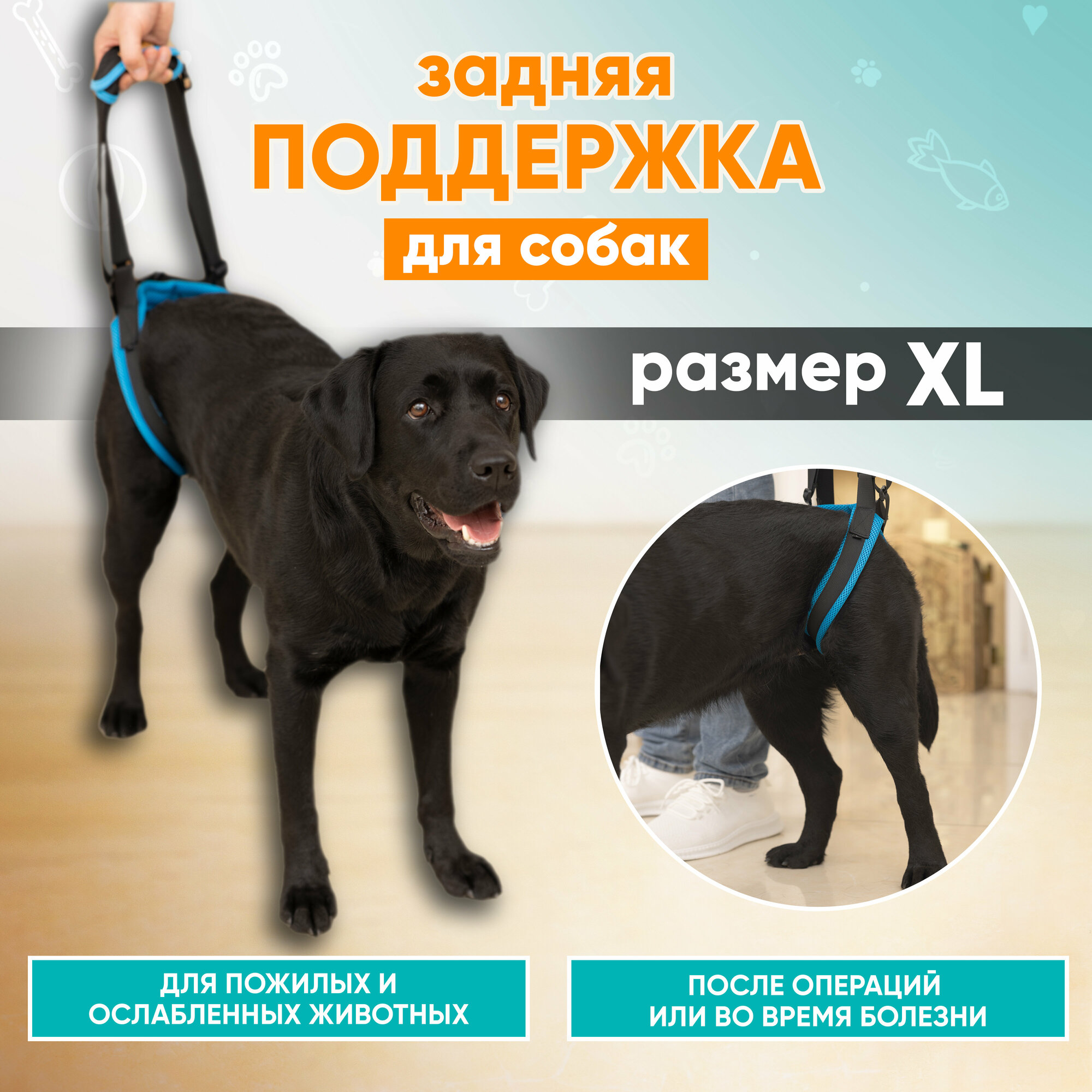 Ходунки для собак, поддержка для собак задняя, поддержка для пожилых собак, шлейка для собак ортопедическая Mr Dog XL