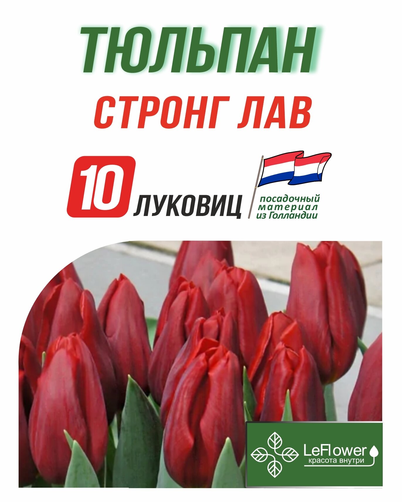 Тюльпан Луковица Стронг Лав 10шт (LeFlower)