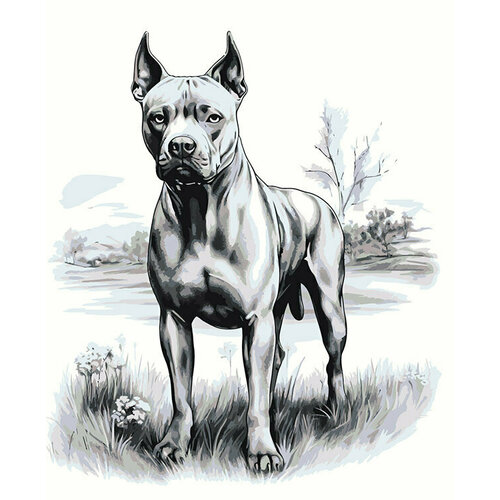 Картина по номерам на холсте Собака Стаффорд 3 40x50