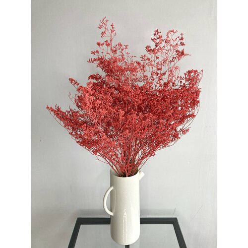 Кермек красный