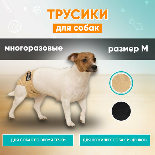 Трусы для собак многоразовые Mr Dog для девочек, подгузник для собак, памперс для собак, M