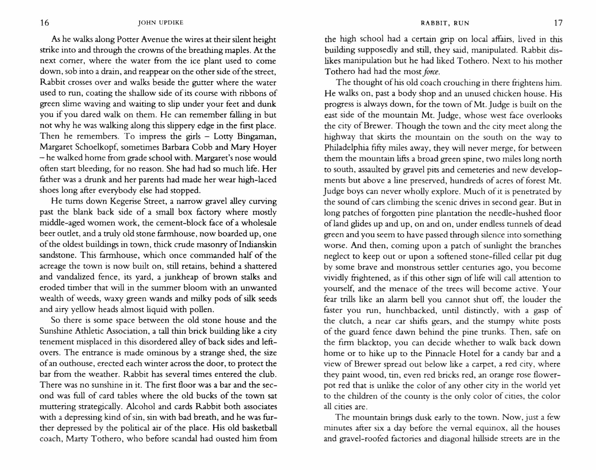 Rabbit, Run / Книга на Английском - фото №2