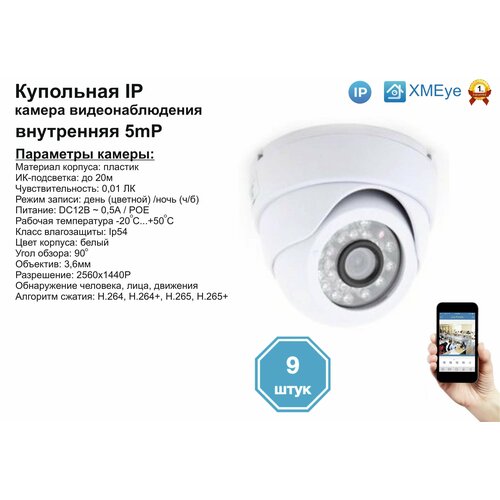 9шт DVW300IP5MPPOE Внутренняя IP камера 5мП с ИК до 20м 2950000₽