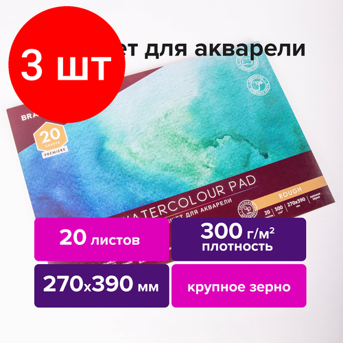 Комплект 3 шт, Папка для акварели/планшет, 300 г/м2, 270х390 мм, склейка, крупное зерно, 20 л, BRAUBERG ART PREMIERE, 113250