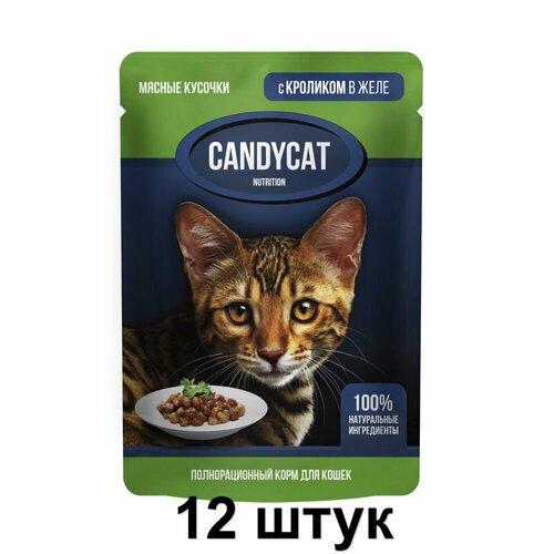 CandyCat Пауч для кошек, кусочки с Кроликом в желе, 85 г, 12 шт