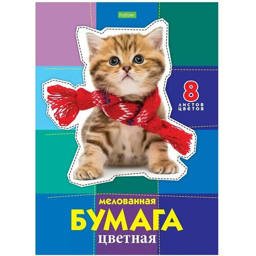 Бумага цветная 8л 8цв А4 Котик 060644