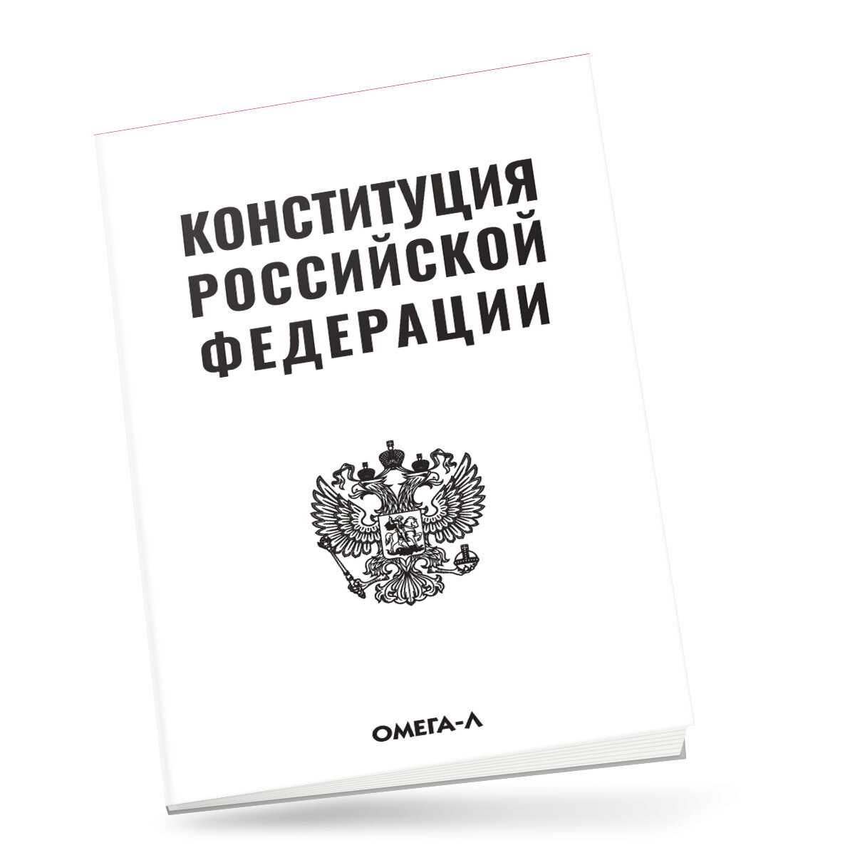 Конституция Российской Федерации - фото №11