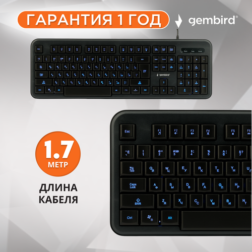 Клавиатура Gembird KB-200L Black USB черный, английская/русская (ISO), 1 шт. клавиатура gembird kb g300l