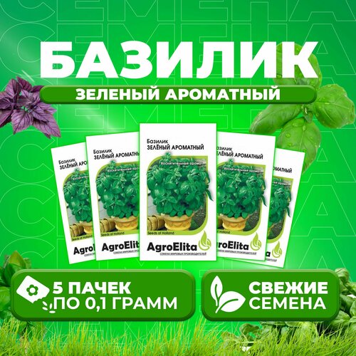 Базилик Зеленый ароматный, 0,1г, AgroElita, Wing seed (5 уп)