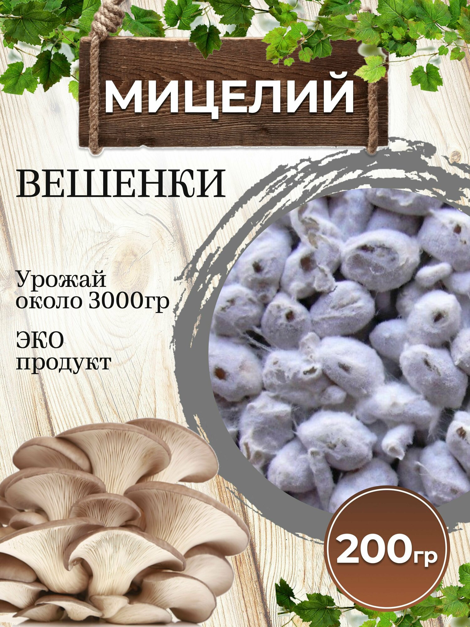 Мицелий вешенки высокоурожайный штамм К17