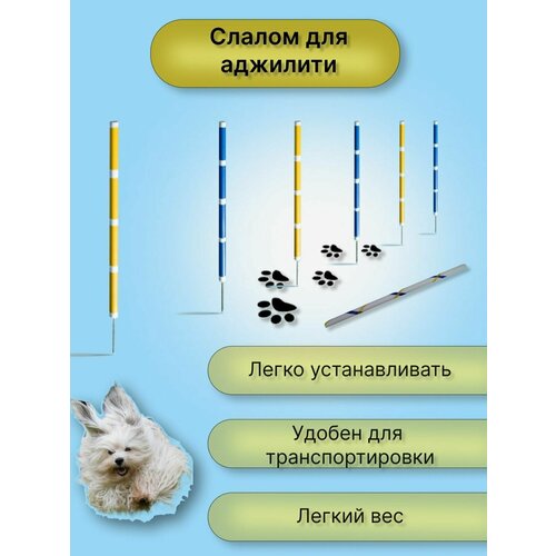 Слалом для аджилити (слалом для собак)