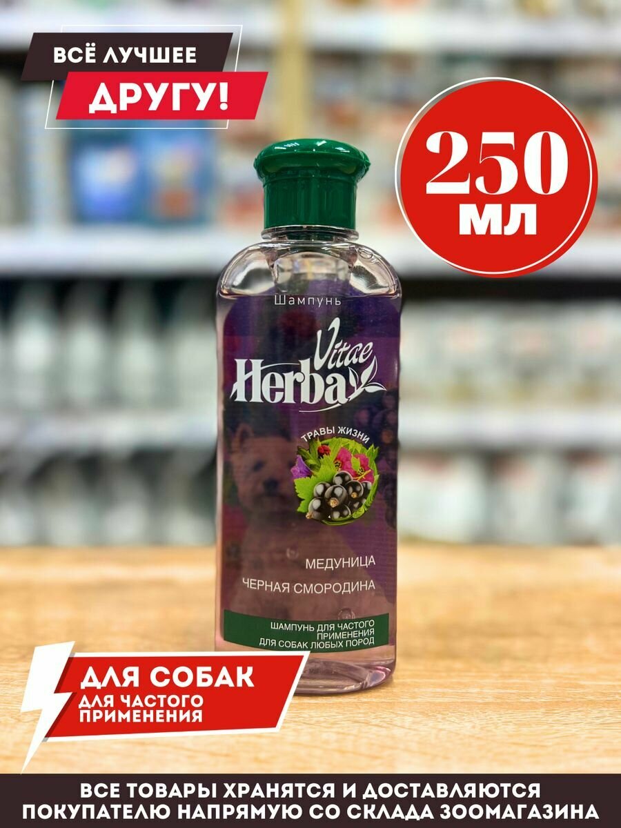 Шампунь Herba Vitae для собак для частого использования, 250мл