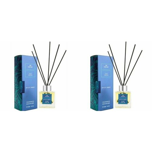 XXI CENTURY Декоративный ароматизатор Gourman Mystic Amber, 100 мл, 2 шт