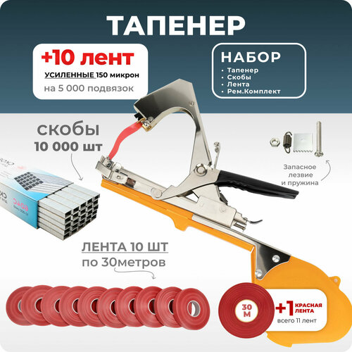 оранжевый, черный, красный