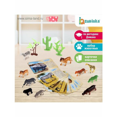 обучающие карточки дикие животные Обучающие карточкиДикие животные, по Монтессори