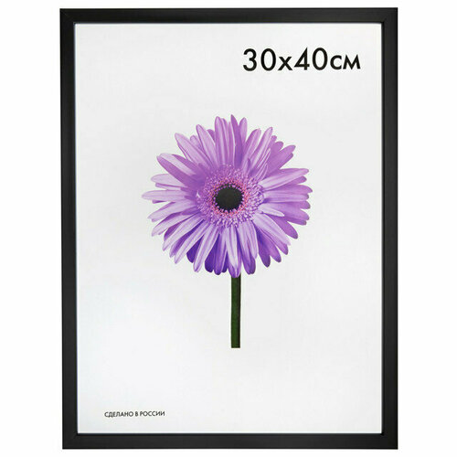 Фоторамка maria 300х400мм черная пластик 1021₽