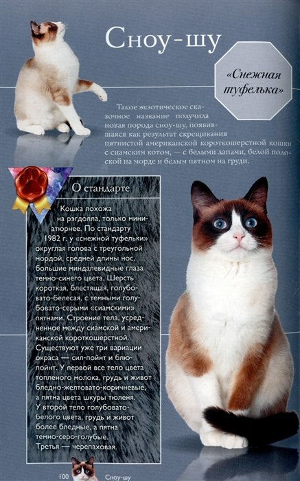 Кошки (Непомнящий Николай Николаевич) - фото №9