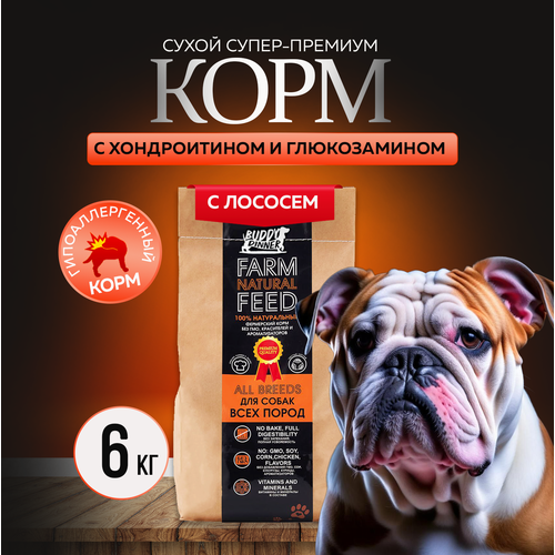 Сухой корм для собак крупных и средних пород Buddy Dinner Orange Line Hypoallergenic с лососем 6 кг