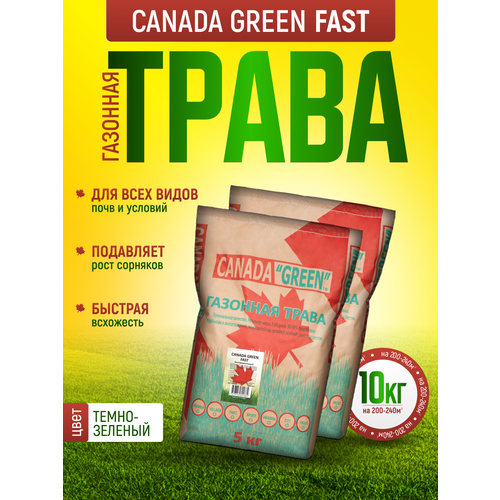 Газонная трава семена Канада Грин Быстрорастущая 10кг/ Canada Green Fast / райграс, мятлик, овсяница